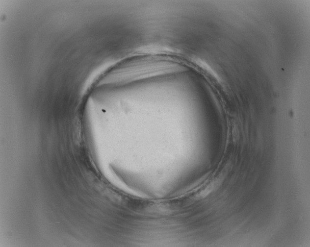 X0000074291358200609151906