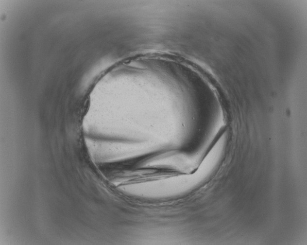 X0000074291359200609151906