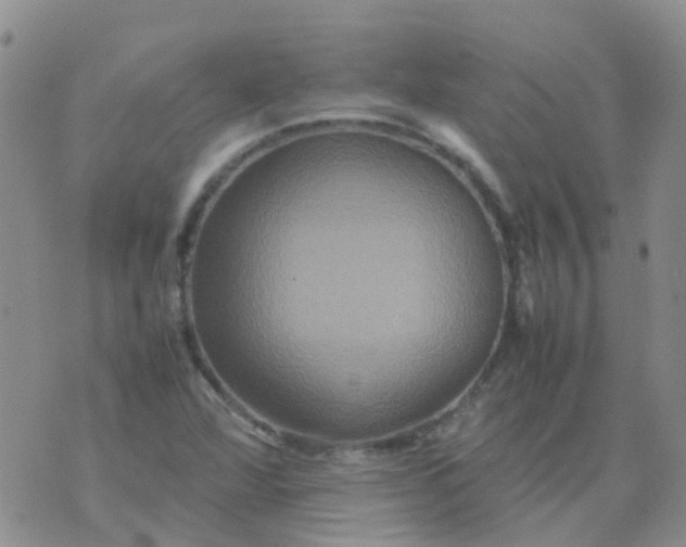 X0000074291360200609151906