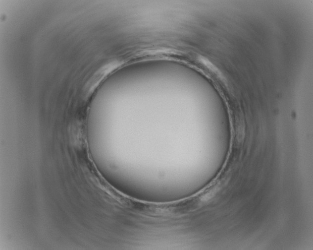 X0000074291361200609151906