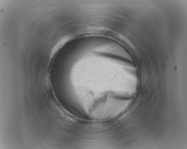 X0000074291362200609151906