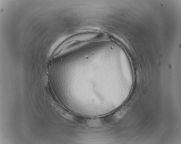 X0000074291363200609151906