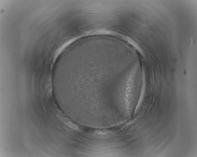 X0000074291364200609151906