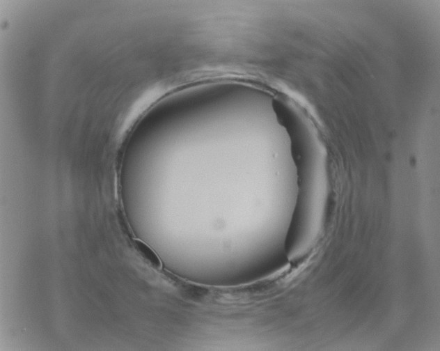 X0000074291365200609151906