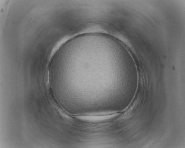 X0000074291366200609151906