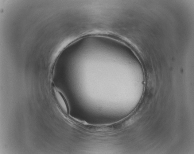 X0000074291367200609151906