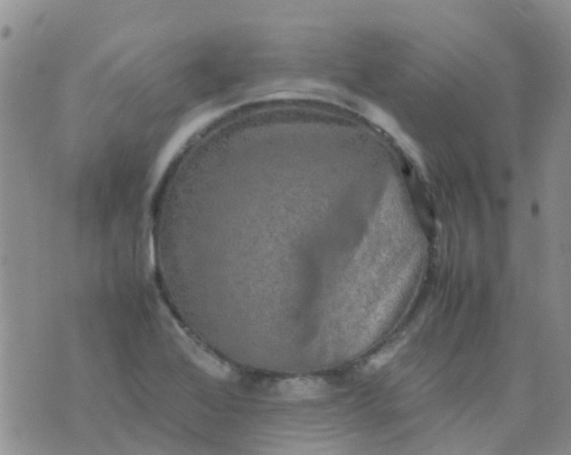 X0000074291368200609151906