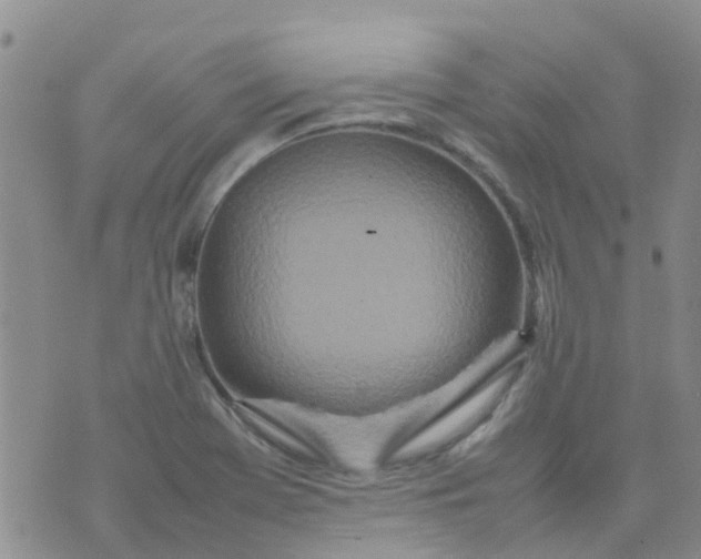 X0000074291369200609151906