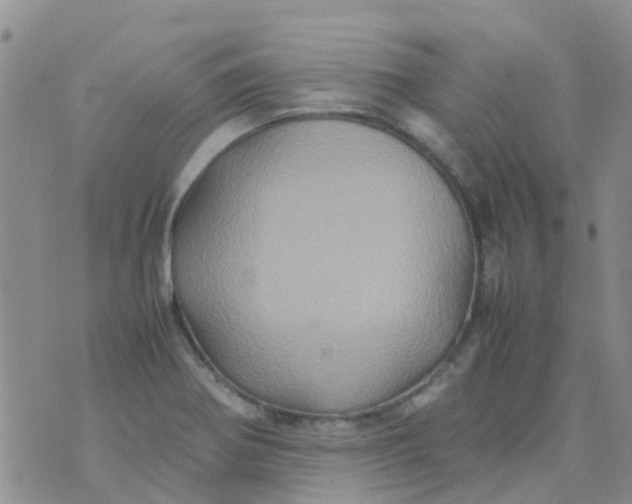 X0000074291370200609151906