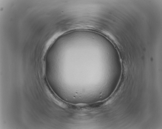 X0000074291371200609151906