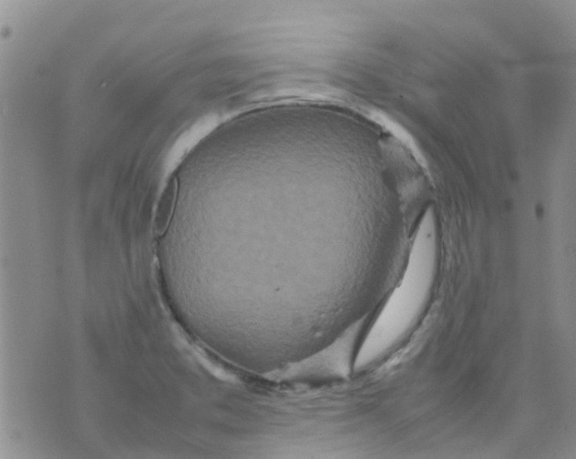 X0000074291373200609151906