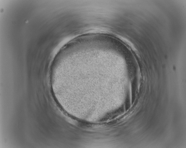 X0000074291375200609151906