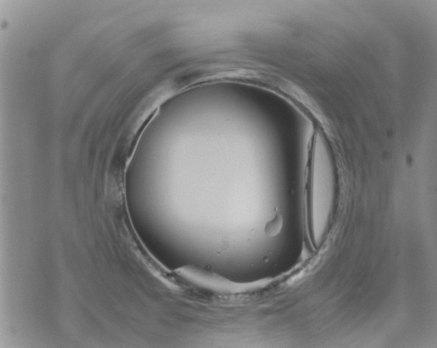 X0000074291377200609151906