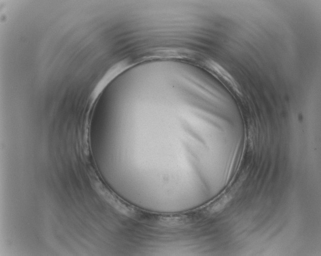 X0000074291378200609151906