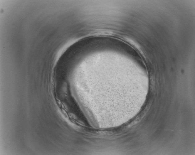 X0000074291379200609151906