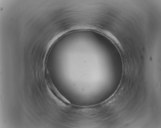 X0000074291380200609151906