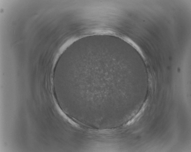 X0000074291381200609151906