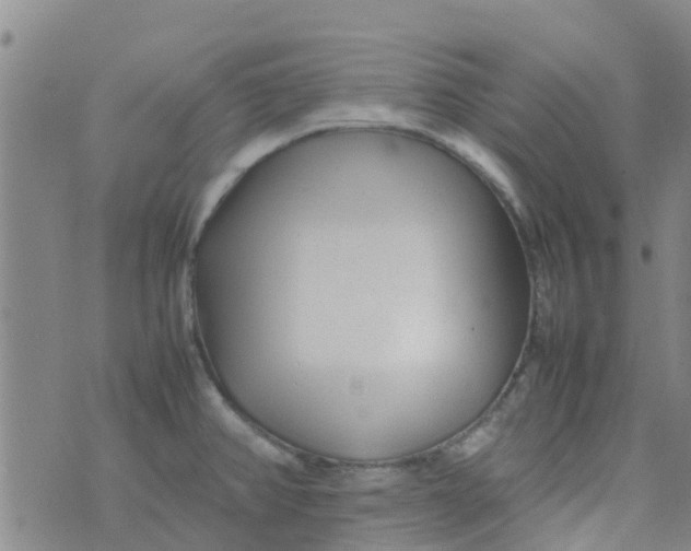 X0000074291382200609151906