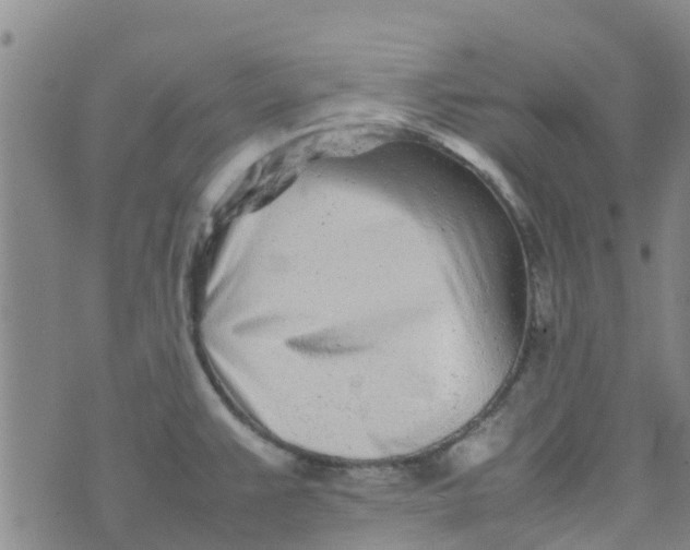 X0000074291383200609151906