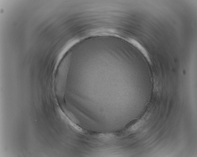 X0000074291384200609151906