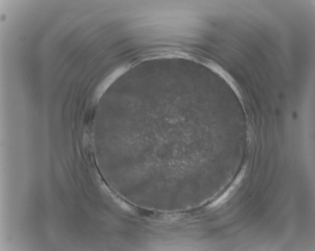 X0000074291385200609151906