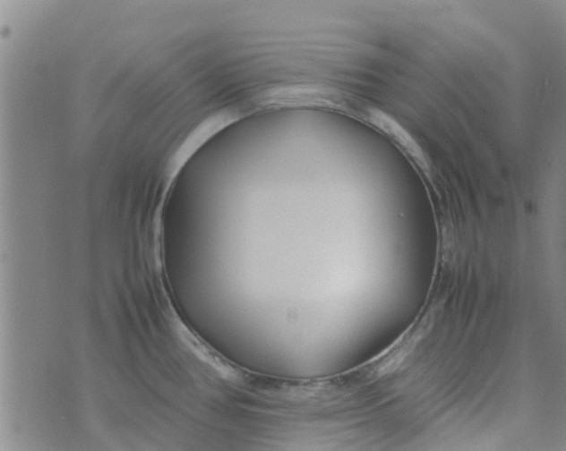 X0000074291386200609151906