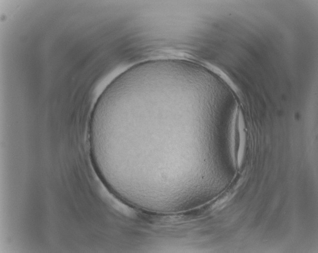 X0000074291387200609151906