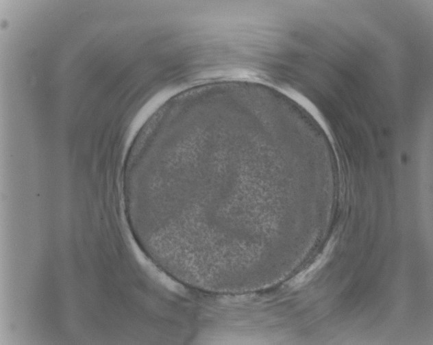 X0000074291389200609151906