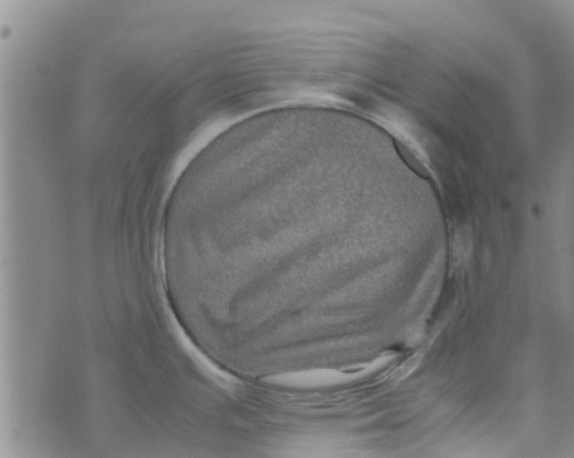 X0000074291391200609151906