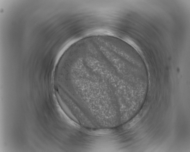 X0000074291392200609151906