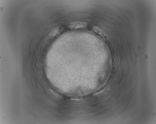 X0000074291393200609151905