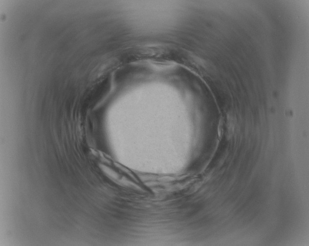 X0000074291394200609151905