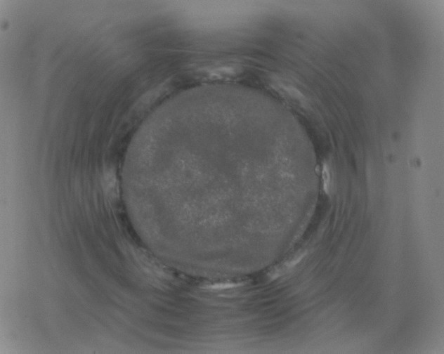 X0000074291395200609151905