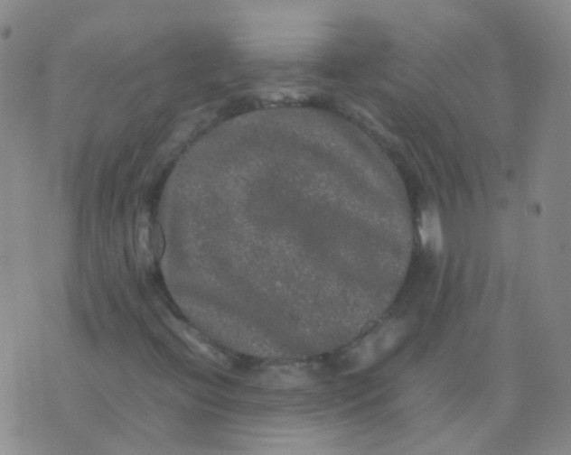 X0000074291396200609151905