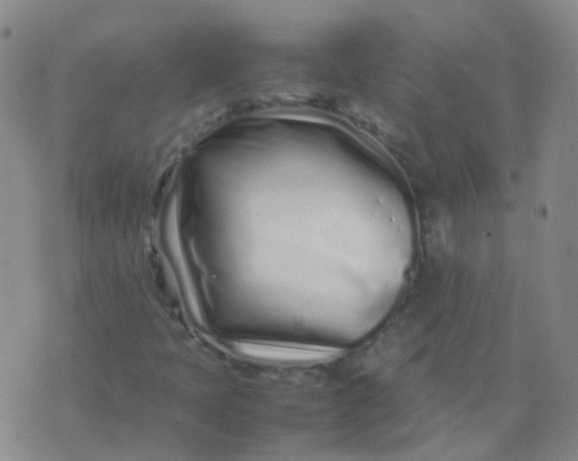 X0000074291397200609151905