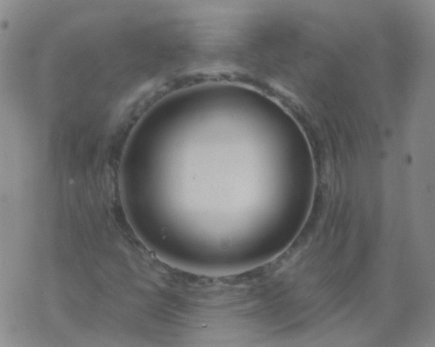 X0000074291398200609151905