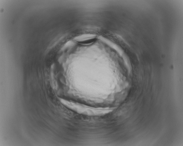 X0000074291399200609151905