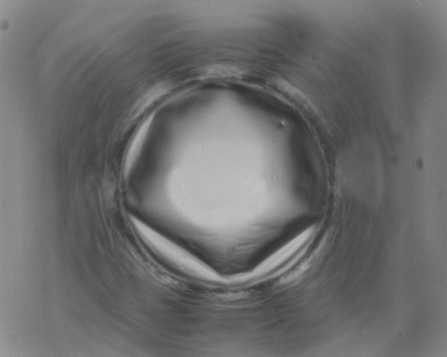 X0000074291401200609151905