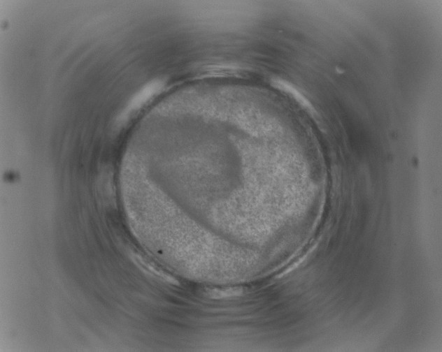 X0000074291403200609151905