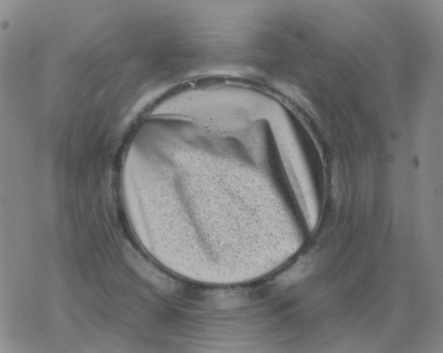 X0000074291404200609151905