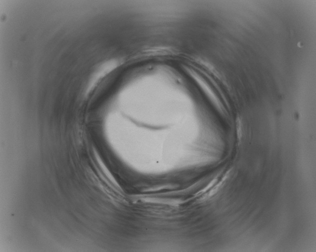 X0000074291405200609151905