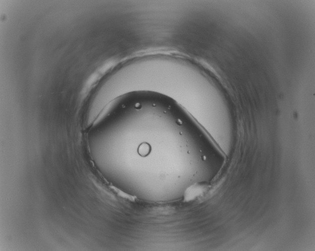 X0000074291406200609151905