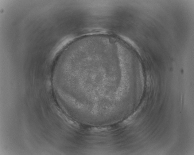 X0000074291407200609151905