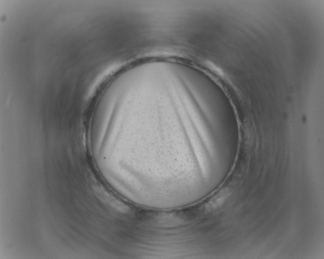 X0000074291408200609151905