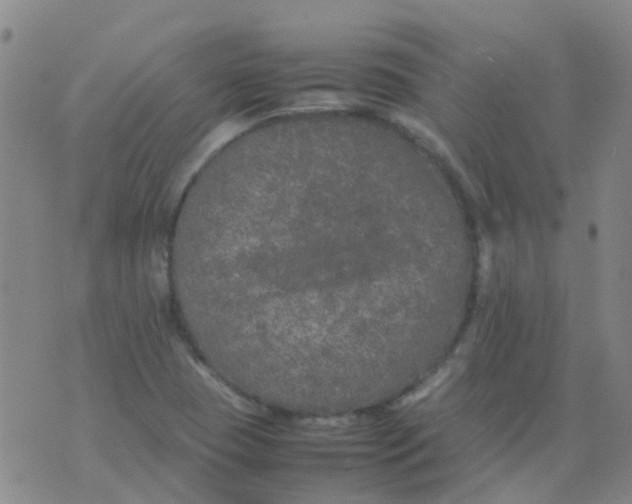 X0000074291409200609151905