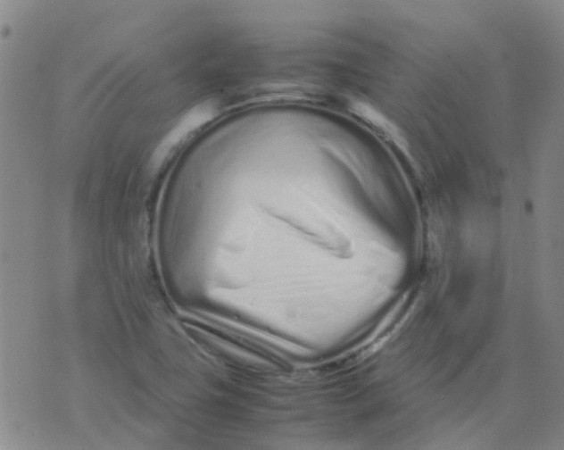 X0000074291411200609151905