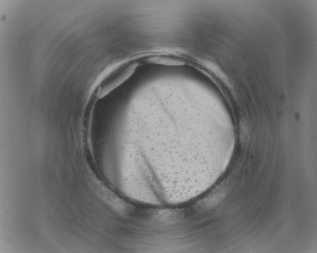 X0000074291412200609151905