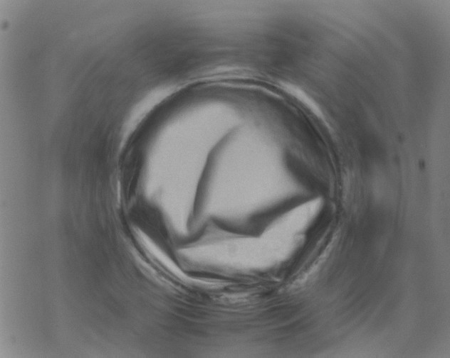 X0000074291413200609151905