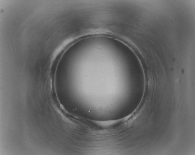 X0000074291414200609151905