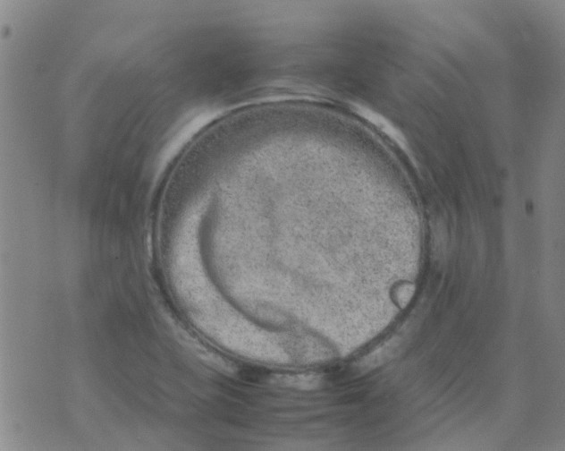 X0000074291415200609151905